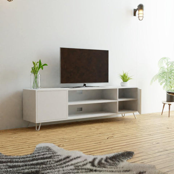 2 Door TV Stand - The Cabinet Shop